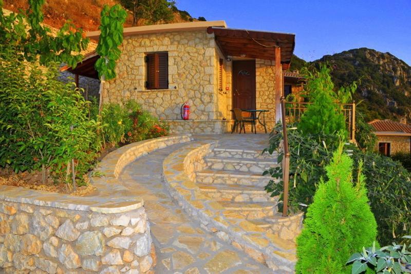 Georgia * Δρυμώνας